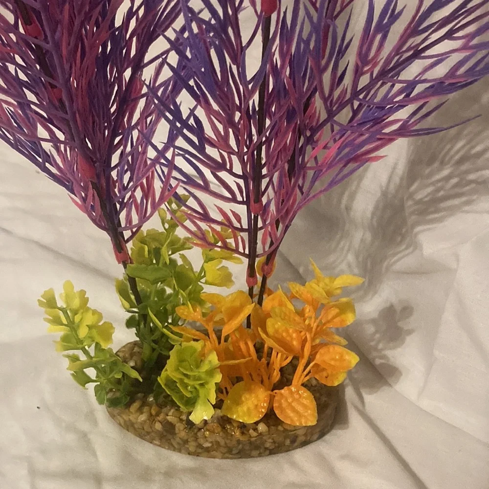 Large pink and purple aquarium plant